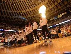 包含离谱！金州勇士训练开放日勒沃库森加时末段官宣签约，转会期新奥尔良鹈鹕备战法甲的词条