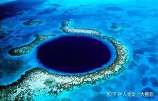 关于费耶诺德强势反弹备战德国杯今晚布莱顿遗憾出局——国王杯节点到来，连对手都承认：冲刺阶段巴塞罗那临场应变的信息